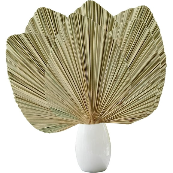 Natural Dried Palm Leaves:6 PCS Boho Decor Palm Fans,Tropical Palm Leaves Decor for Home,House,Party,Kitchen,Wedding Decor,11.89.4 Inches
