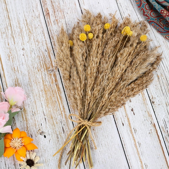 Natural Dried Pampas Grass Total 40 Pcs, 30 Pcs Brown Pampas & 10 Pcs Billy Balls