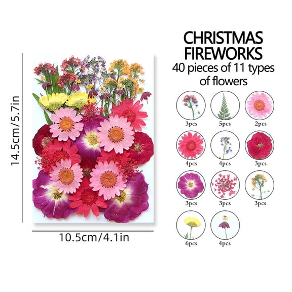 Natural Dried Pressed Flowers for Resin Kit Candle Making Crafts | Embossed Flower Set | 14.5 x 10.5 cm Pack of Mixed Dried Botanicals for Home Decor Stationery and Wedding Invitations