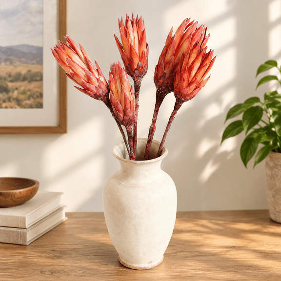 Natural Dried Protea Repens - Real Dried Flower Arrangements