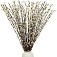 thumbnail image 1 of GIXUSIL Natural Dried Pussy Willow Branches,20 Pack Real Pussy Willow Twigs,16 Inch Long Dried Flower with White Buds,Faux Snow Pussy Willow Branches,Vase Fillers for DIY Floral,Home Party Decor, 1 of 7