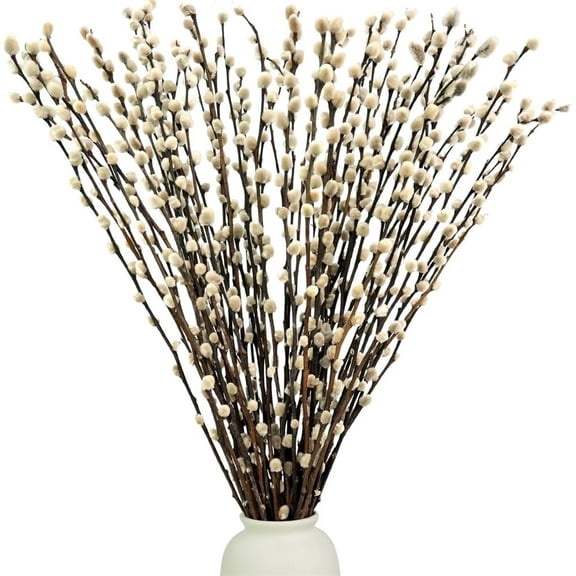 GIXUSIL Natural Dried Pussy Willow Branches,20 Pack Real Pussy Willow Twigs,16 Inch Long Dried Flower with White Buds,Faux Snow Pussy Willow Branches,Vase Fillers for DIY Floral,Home Party Decor