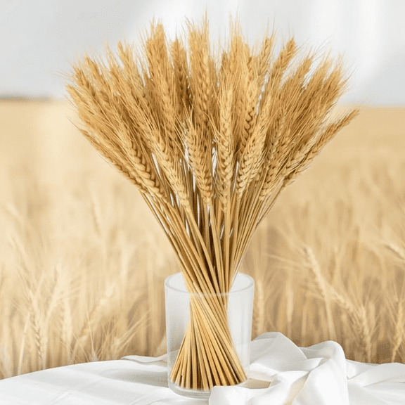 Natural Dried Wheat Stalks Bunch - 100 Stems for Boho Farmhouse Decor, Fall Wedding Centerpieces, DIY Home Arrangements, and Table Kitchen Decorations, 12.9 Inches