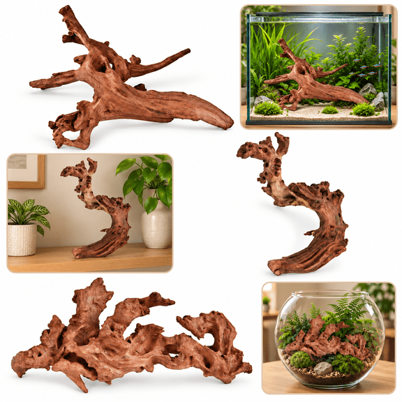 Natural Driftwood, 1 Random Piece, 6-10 Inch Assorted Wood for Aquarium Fish Tank and Reptile Terrarium Decoration