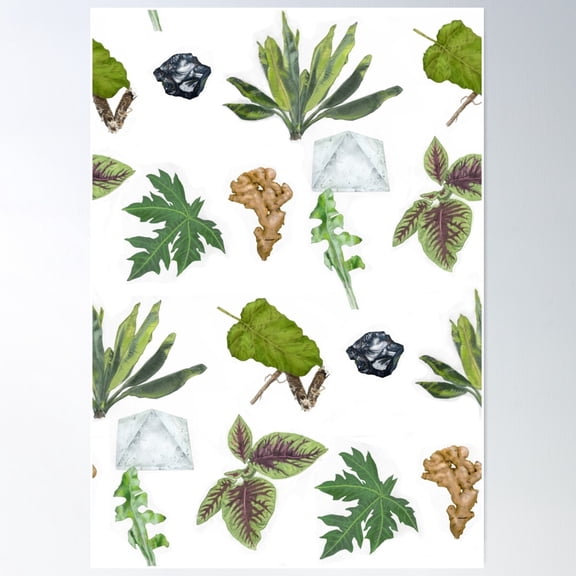 Natural Elements Poster Wall Art Bedroom Wall Art Home Decor Office Wall Art