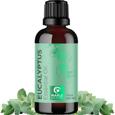 Maple Holistics Eucalyptus Essential Oil for Aromatherapy, 1 Fl Oz