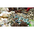 thumbnail image 1 of Natural Exploration Starter Pack, 1 of 1