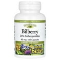 thumbnail image 1 of Natural Factors HerbalFactors Bilberry, Nutritional Support for Vision, 60 Capsules, 1 of 2