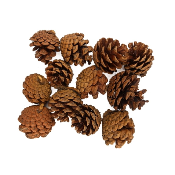 Natural Fall Pinecones Decor 12 Pcs Artificial Autumn Pine Cone Ornaments Halloween Rustic Table Filler Accents with Authentic Texture for Festive Holiday Display on Fireplace Mantel