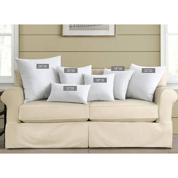 Natural Feather Down Throw Pillow Inserts 20x20 Set of 2 White, Soft and Supportive Decor for Couch Chairs Office