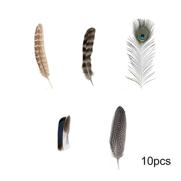 Natural Feathers Bulk - 50PCS - 5 Styles Assorted Natural Feathers for DIY Crafts, Wedding, Crafting Supplies