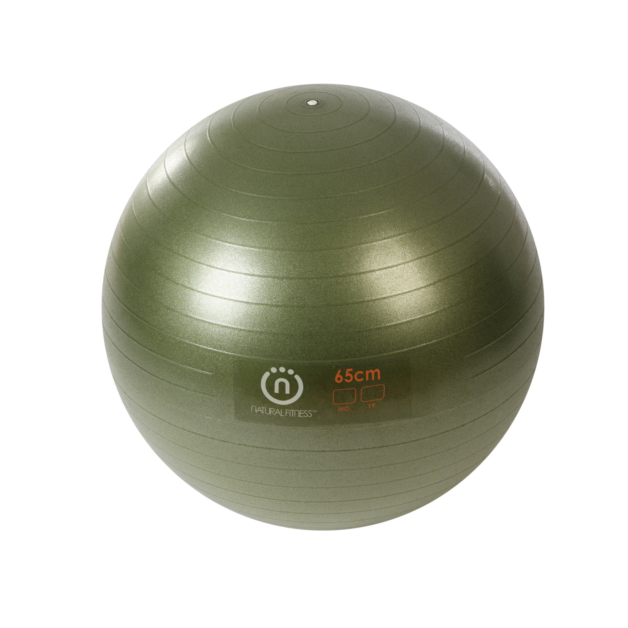 Gym Ball Anti-Burst 65cm Home Fitness Pump Included – Meglio