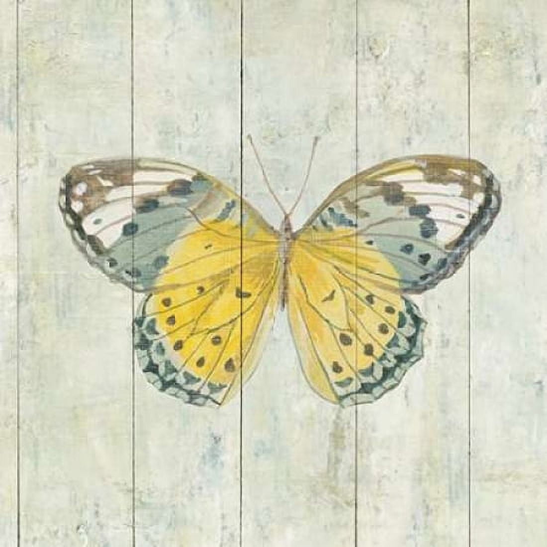 Natural Flora IX Canvas Art - Danhui Nai (24 x 24)