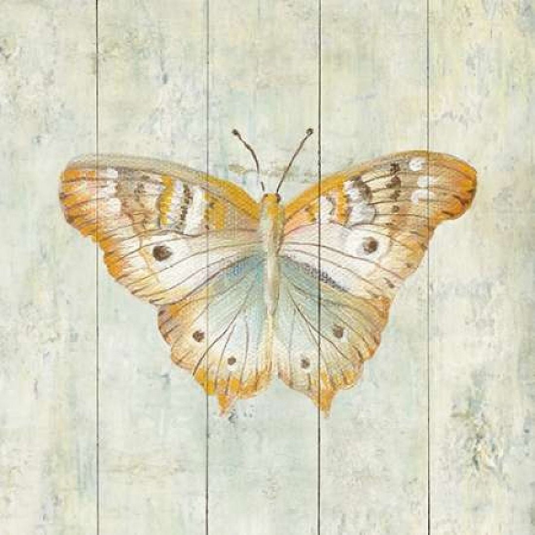 Natural Flora VII Canvas Art - Danhui Nai (24 x 24)