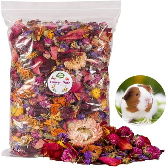 Natural Flower & Herb for Hamster Bedding,Soft Green Herbs Hamster Forage for Habitat Decor, Guinea Pig Bedding Odor Control for Bunny, Rabbit (Flower Path-B)