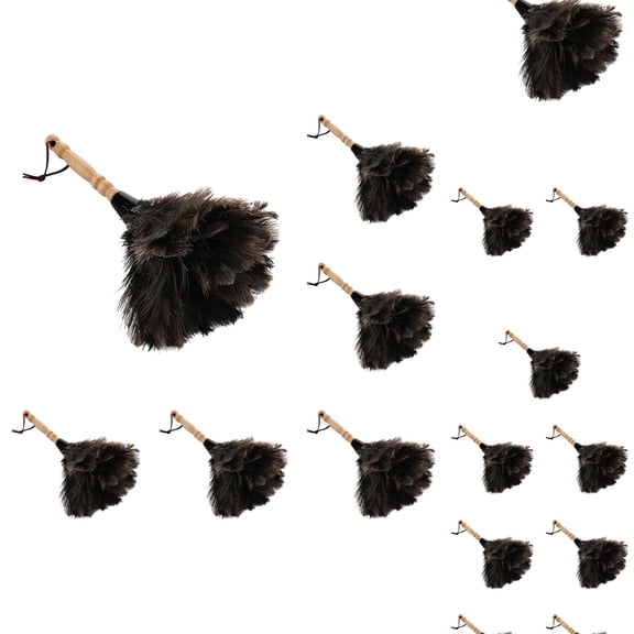 Natural Fluffy Feather Duster With Wooden Handle Dust Brush