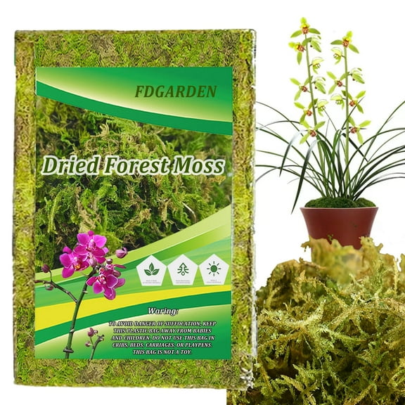Natural Forest Moss for Plants and Reptiles Dried Green Sphagnum Moss Potting Mix for Orchid Plants Succulent Reptiles