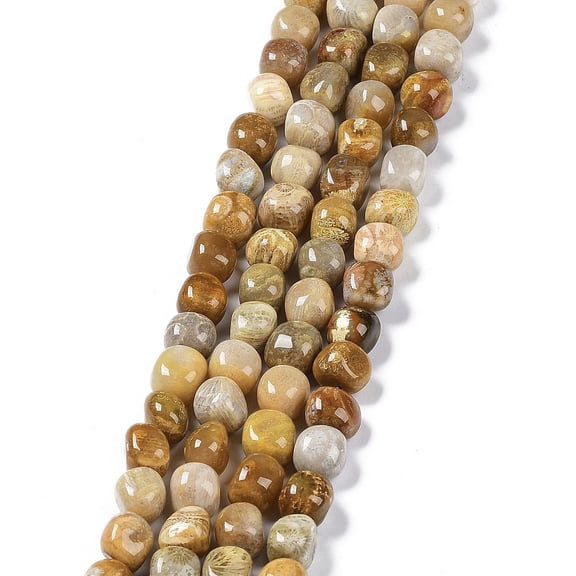 Natural Fossil Coral Beads Strands Tumbled Stone 6.5~15x7~14x7~14mm Hole: 1~1.4mm 32~33pcs/strand 15.16~ 15.75 inch(38.5~40cm)
