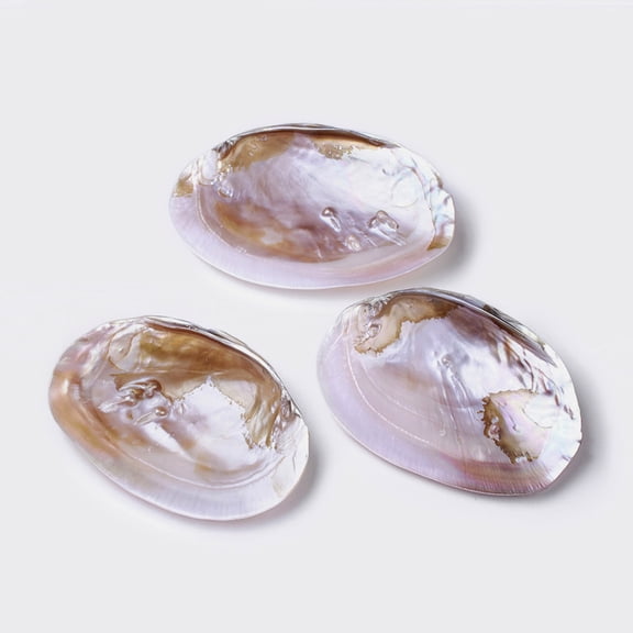 Natural Freshwater Pearl Shell Decoration 135~170x95~110x30~40mm
