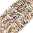 thumbnail image 1 of Natural Freshwater Shell Beads Strands Dyed AB color Nugget PapayaWhip 7~17.5x5~5.5x6~8.5mm Hole: 1.2mm about 72~73pcs/strand 15.35''(39cm) Freshwater Shell, 1 of 4