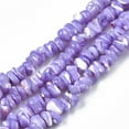 thumbnail image 1 of Natural Freshwater Shell Beads Strands Dyed Chips Lilac 2.5~5.5x6~17.5x5~8mm Hole: 0.8mm 92~112pcs/strand 13.98 inch~16.14 inch(35.5~41cm), 1 of 3