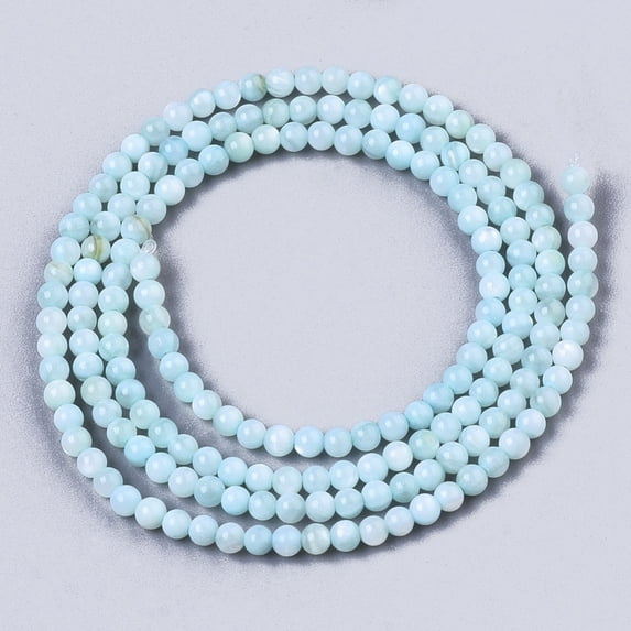 Natural Freshwater Shell Beads Strands Dyed Round Pale Turquoise 2.5mm Hole: 0.7mm about 150~190pcs/Strand 14.96 inch~15.75 inch