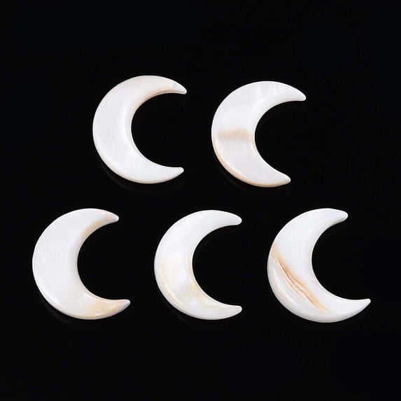 Natural Freshwater Shell Cabochons Moon Seashell Color 12x11.5x2mm