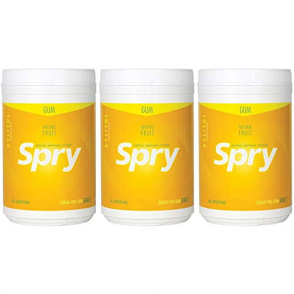 Natural Fruit Gum, Natural Xylitol Chewing Gum Dental Defense System