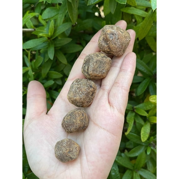 Natural Garnet Rough Stones, 1-1.5" Raw Garnet Stones