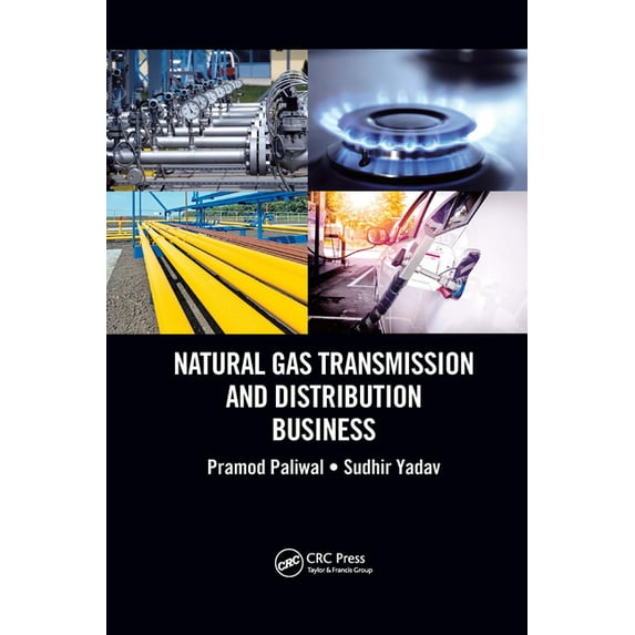 Natural Gas Transmission and Distribution Business, (Paperback)
