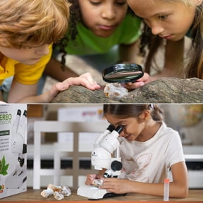 Natural Geode Exploration Kit Break Open and Discover Your Own Crystal Treasure