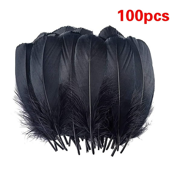 Natural Goose Feathers,Feathers For Crafting,Natural Feathers,Feathers For Mardi Gras Decorations,Angel Wings Wedding Party Home Diy Handicrafts Feather Decoration Accessories (100 Pcs)