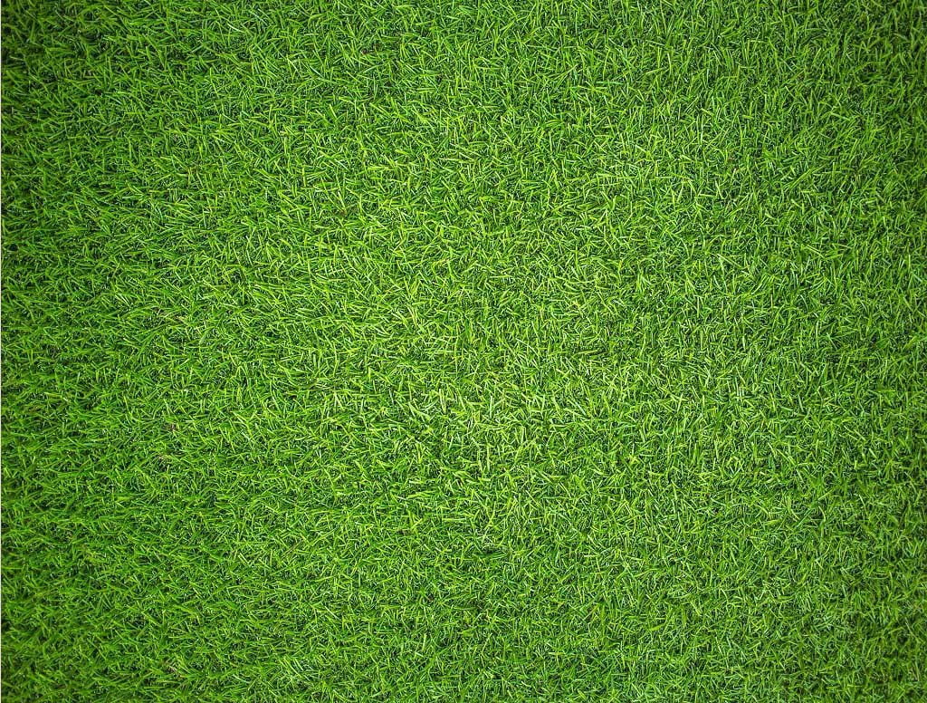 Natural Grass, a 1000-piece Puzzle by Impuzzibles