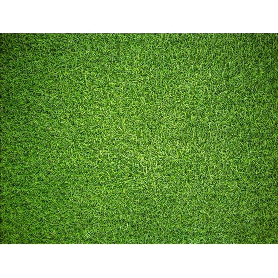 Natural Grass, a 1000-piece Puzzle by Impuzzibles
