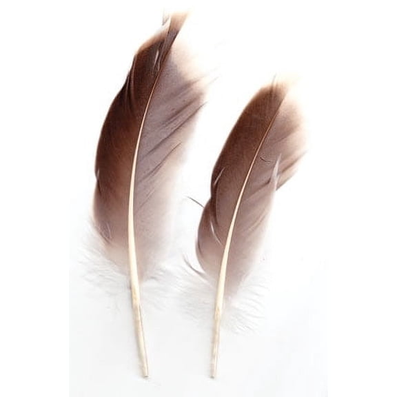 Natural Gray Goose feather | Trending Now