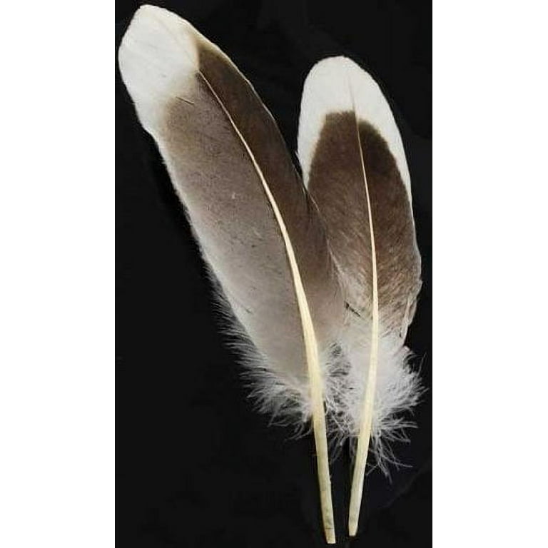 Beautiful natural goose feather 50 PCS white goose feather the volume of 6  to 8 inches / 15-20 cm dyeing goose feathers - AliExpress