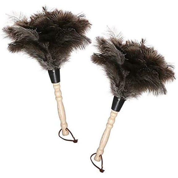 Natural Gray Ostrich Feather Duster,2 Packs,Car Duster Interior/Exterior Cleaner, Cleaning for Blinds Kitchen Keyboard Office, Smart and Soft and Fluffy (Gray)