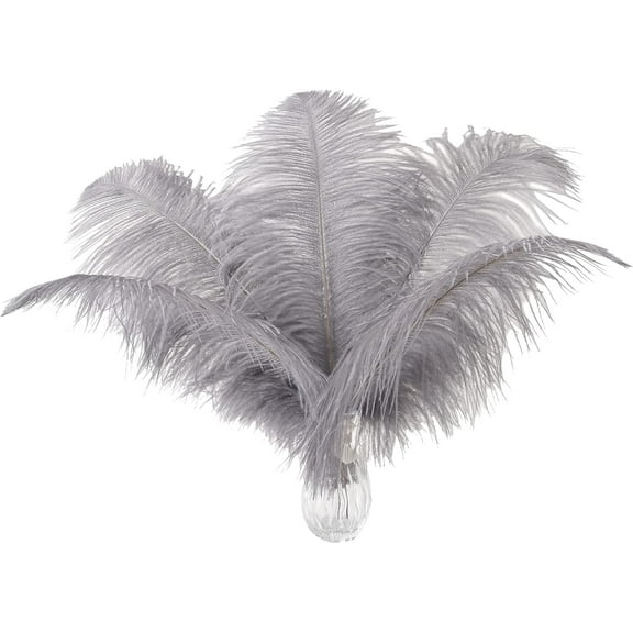 Natural Gray Ostrich Feathers - 24pcs 12-14inch Big Feathers for Wedding Party Centerpieces Home Decor