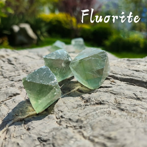 Natural Green Fluorite Raw Crystal Cluster - Vibrant Cubic & Octahedral Stones for Mental Clarity, Focus & Energy Cleansing - Healing Mineral Specimen for Meditation & Study (2-4cm)