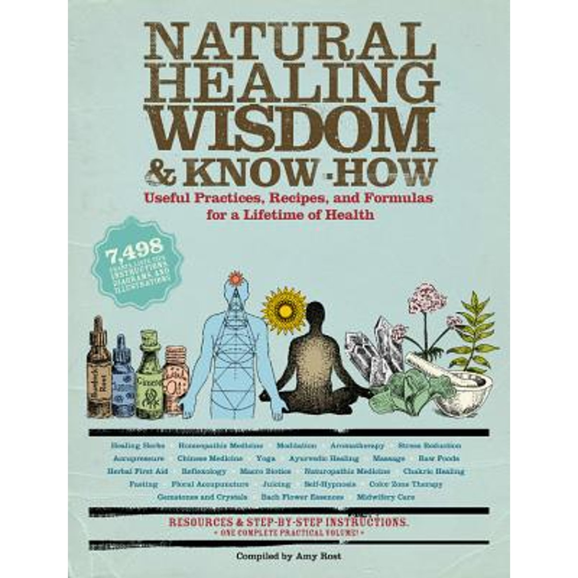 Pre-Owned Natural Healing Wisdom & Know-How: Useful Practices, Recipes, and Formulas for a Lifetime of Health (Paperback) by Amy Rost