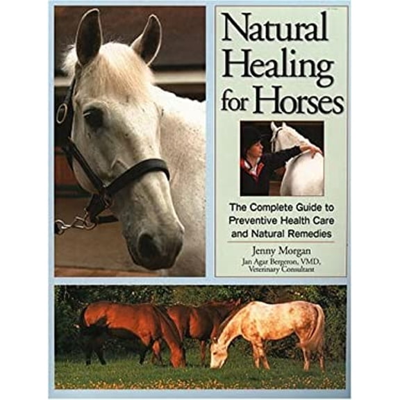 Pre-Owned Natural Healing for Horses: The Complete Guide to Preventative Health Care and Natural Remedies (Paperback) 1580174027 9781580174022