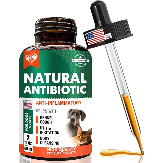 Natural Herbal Antibiotics for Cats and Dogs Kennel Cough Relief