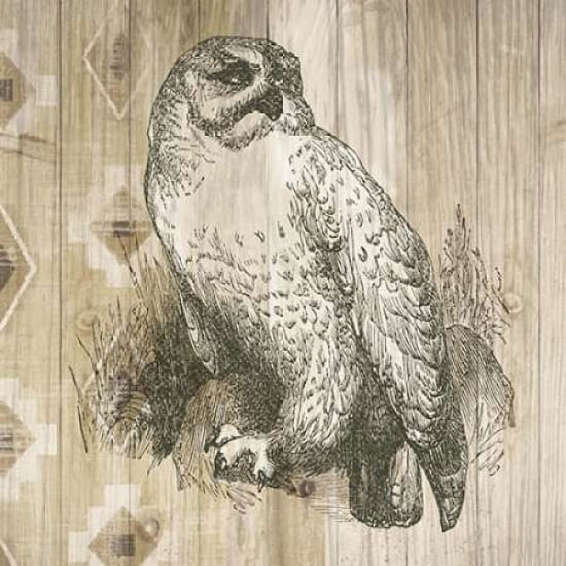 Natural History Lodge II Canvas Art - Wild Apple Portfolio (24 x 24)
