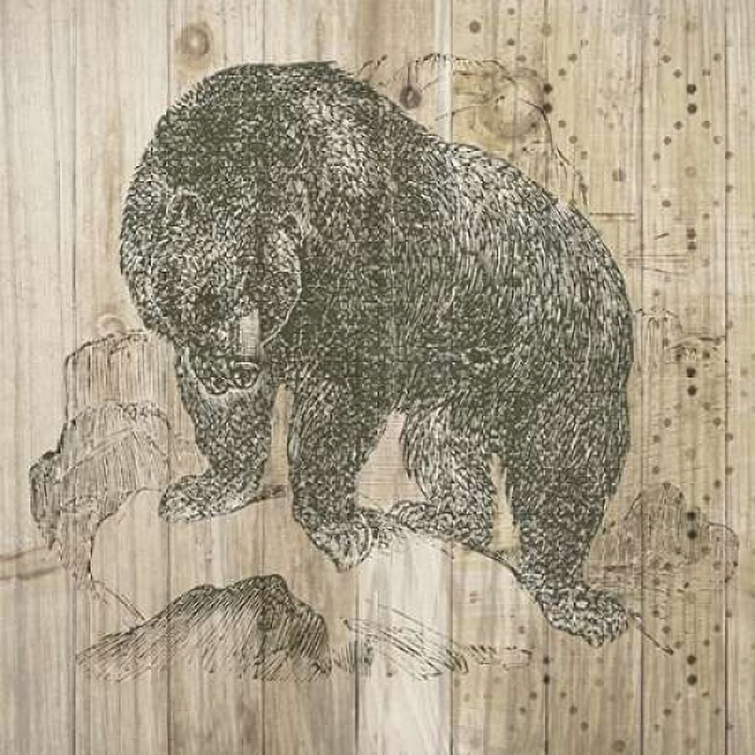 Natural History Lodge IV Canvas Art - Elyse DeNeige (24 x 24)