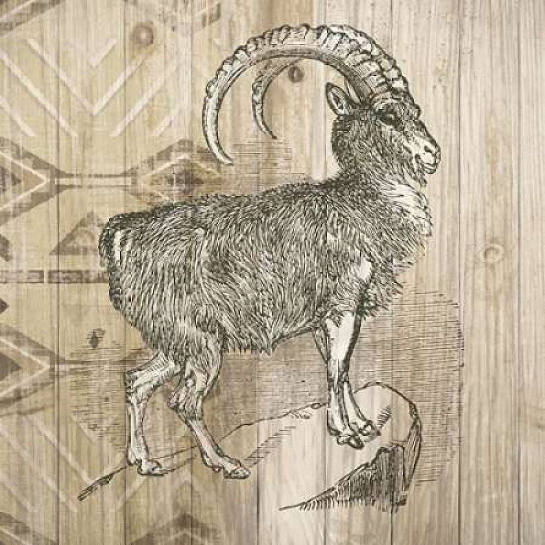 Natural History Lodge VII Canvas Art - Wild Apple Portfolio (24 x 24)
