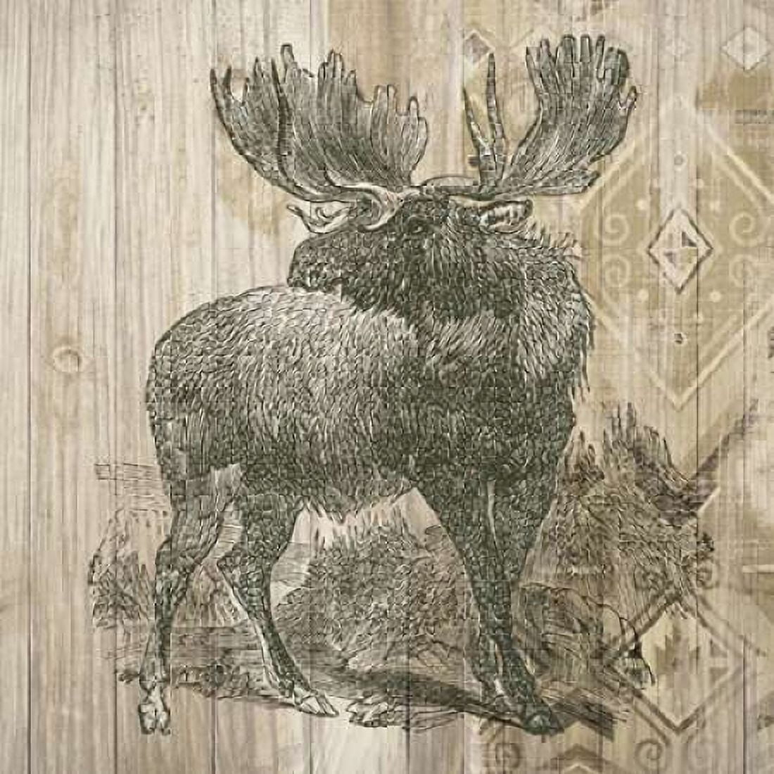 Natural History Lodge VIII Canvas Art - Elyse DeNeige (24 x 24)
