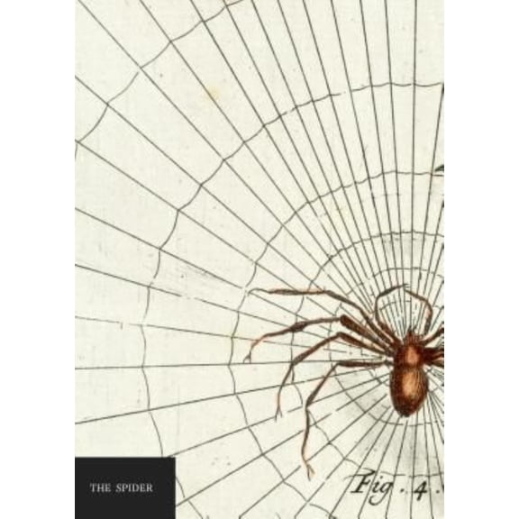 Natural History Museum: the Spider Notebook