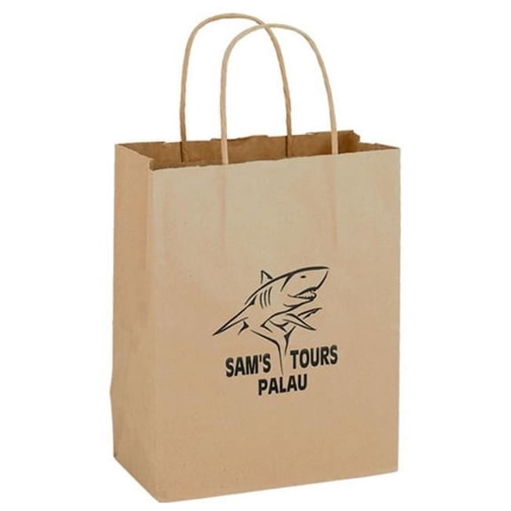 Natural Kraft Paper Shopping Bag - Natural Kraft - 8in.x10.25in.