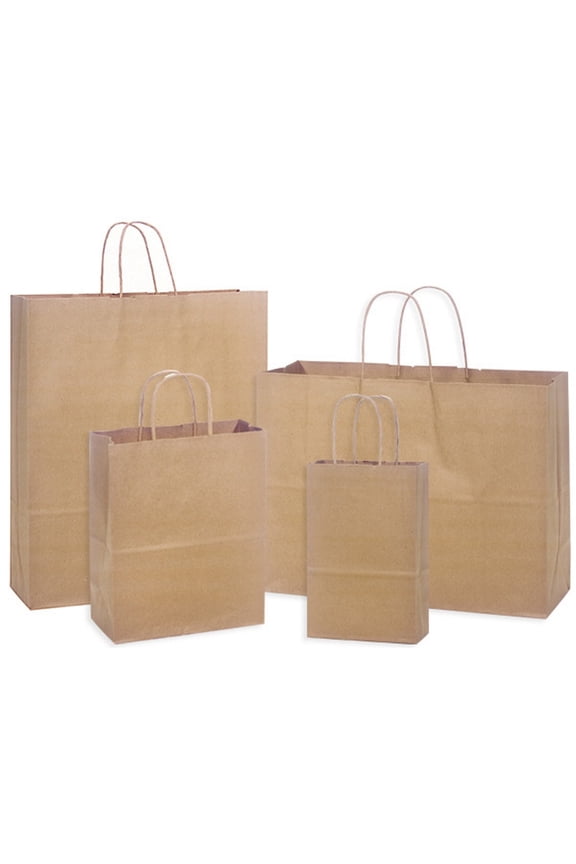 Natural Kraft Shopping Bags Assortment - 4 Different Sized Bags - 125 Pack