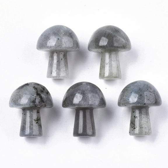 Natural Labradorite GuaSha Stone Gua Sha Scraping Massage Tool for SPA Relaxing Meditation Massage Undyed Mushroom Shaped 21x16mm